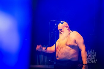  Mr Béar Ireland 2025 